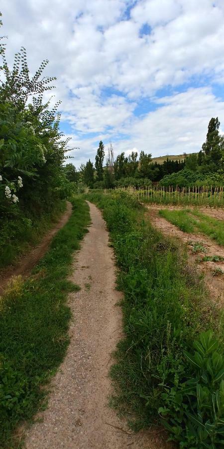 Apartamento Entrevinas En El Corazon De La Rioja Fuenmayor 外观 照片